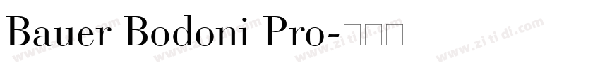 Bauer Bodoni Pro字体转换